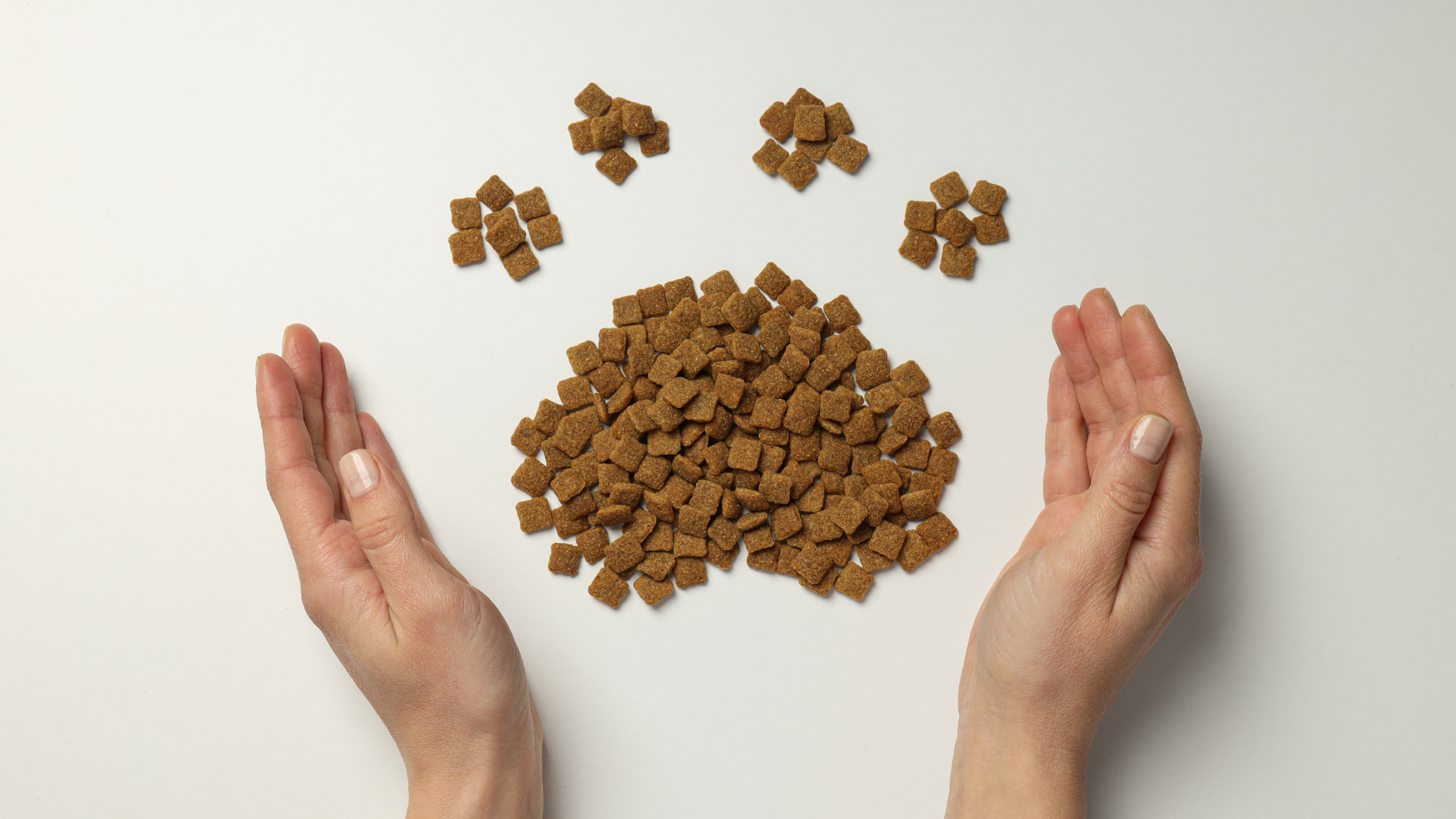 Tienda de alimentación natural para mascotas en Málaga